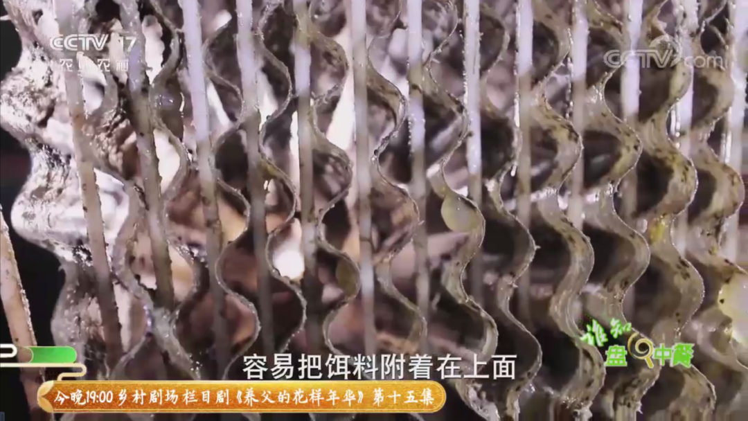 202106261732463615.png 202106261732463615.png